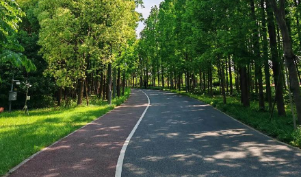 自行車綠道施工需要注意些什么？